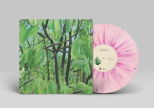 Jannabi Small Pieces II : GRIPPIN’THEGREEN Vinyl LP Pink & Purple Splatter Ver. - Imagen 1 de 2