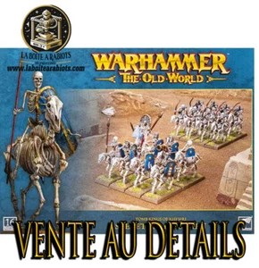 Warhammer The Old World Jinetes Reyes De Tumbas Venta A Explicación Bitz - Imagen 1 de 25