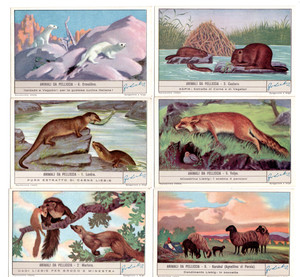 LIEBIG S.1426   F 1425 ,'  ANIMALS WITH FUR 1   '  V/G+  ITALIAN   or FRENCH