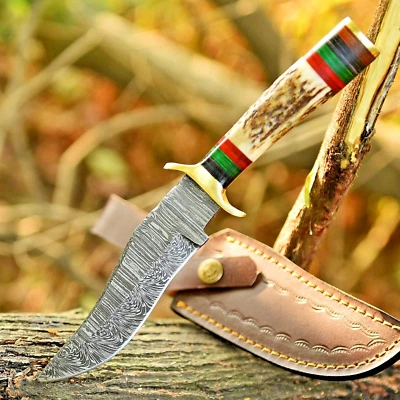 Custom handmade Damascus Fix Blade Hunting knife Stag Antler Handle Brass Guard - Image 1 of 4