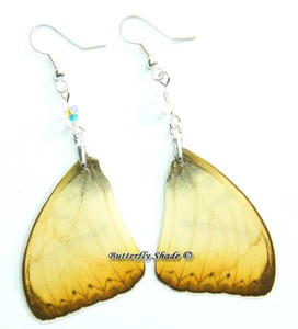 Unique Butterfly Earrings - Cymothoe reinholdi - M5 - Imagen 1 de 1