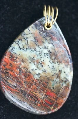 Fianza giratoria de latón 125ct de hueso de dinosaurio Perndant, de Utah Foto 1 de 4