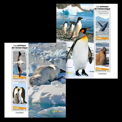 Марки Антарктики животные пингвины тюлени киты как новые без наклеек и следов 2024 Гвинея 2 M/S - Изображение 1 из 3