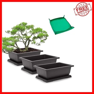 Traditional 3-Pack 11 Inch Bonsai Pots with Raised Trays for Indoor/Outdoor Use - Picture 1 of 8