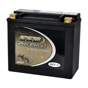 12V 450CCA HARLEY DAVIDSON AGM BATTERY HVT1 YTX20HL-BS OEM Part # 65989-97E - Picture 1 of 1
