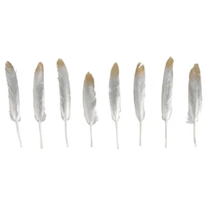 Rayher 85474000 Deko-Federn 8 Stück gold/silber 12-15cm - #Q3 - Bild 1 von 1