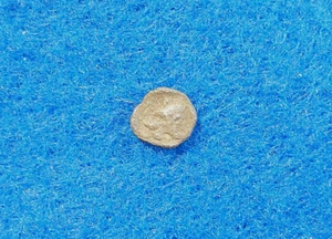 Moneda de Plata Hemiobol griego antiguo Kyzikos, Mysia, circa. 450-400 aC - Imagen 1 de 3