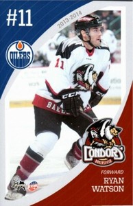 Ryan Watson 2013-14 Bakersfield Condors