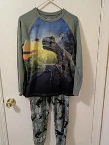 Sz XL (14-16) Husky Wonder Nation Green Dinosaur 2 Piece Pajama Set Boys - Picture 1 of 4