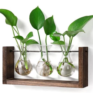 Plants Propagation Stations with Wooden Stand, Wall Hanging Glass Planter Tab... - Picture 1 of 8