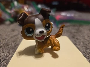 Littlest Pet Shop LPS #237 Authentic Open Mouth Collie Dog - Picture 1 of 4