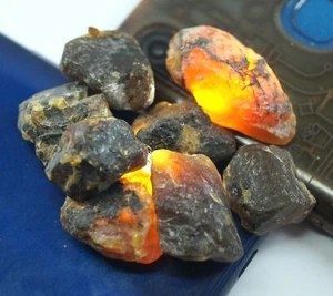 79.20 CT Natural Honey Baltic Amber Untreated Specimen Certified Rough 8 Pcs Lot - Picture 1 of 4