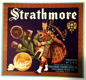 Vintage Strathmore Packing House / Sunkist Label 10x11 Print - Bagpipe - Oranges - Picture 1 of 4