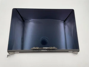 Genuine Apple MacBook Pro 16" A2141 2019 LCD Screen Assembly EMC 3347 - Picture 1 of 8