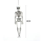 30/40CM Halloween Movable Skeleton Human Model Skull Full Body Mini Figure Scary