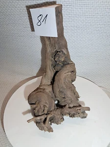 Weinstock ,Treibholz,Bastelholz,Deko,Baumscheibe,Wurzelholz,Terrarium,DIY,Nr.81 - Bild 1 von 2