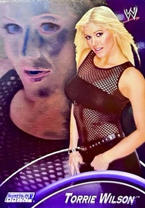 2004 Topps WWE RAW & SmackDown Apocalypse (Italian Edition) Torrie Wilson #S30 - Picture 1 of 2