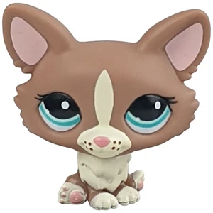 LPS Littlest Pet Shop DOG #1864 CORGI 2010 Brown Tan Gen 3 Green Eye Blythe Doll - Picture 1 of 9