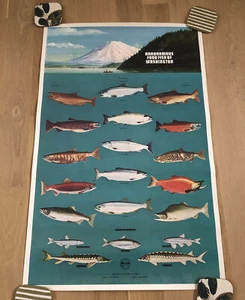 Póster de los peces de Washington del Departamento de Pesca del Estado de Washington de 1970 - Imagen 1 de 8
