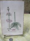 Vintage Pirnt,Water Hotlonia,British Flowering Plants,W.Baxter,1840