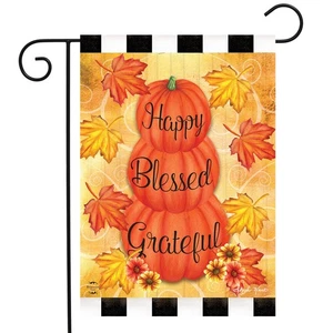 Briarwood Lane Happy Blessed Grateful Autumn Garden Flag - Picture 1 of 4