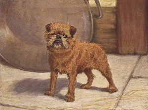 BRÜSSEL GRIFFON CHARMANTER HUND GRÜSSE NOTIZKARTE SCHÖNER STEHENDER HUND - Bild 1 von 1