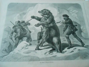 Gravure 1868 - La Chasse à l'Ours en Norvège - Foto 1 di 1