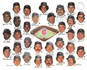 1975 CHICAGO CUBS BASEBALL TEAM 8X10 PHOTO - Picture 1 of 1
