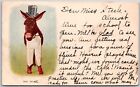 Old Sport, Donkey Wearing Hat, Pants, And Shoes, UDB, 1905 - Postcard