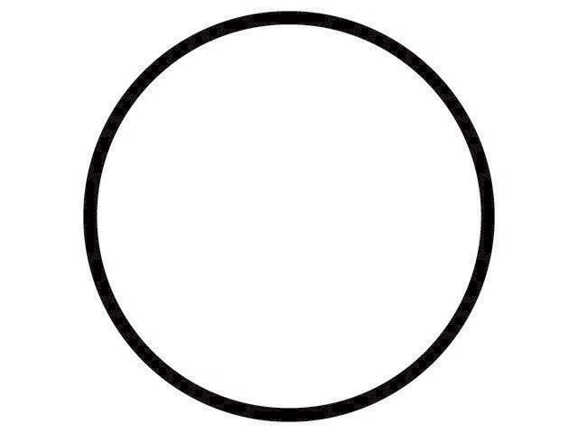 O-ring termostato Gates 28SP94Z compatível com 2000-2003 Ford Excursion 7.3L V8 DIESEL - Imagem 1 de 1