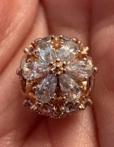 Pandora Sparkling Herbarium Cluster Charm 14k Rose Gold-plated 782383C01 - Picture 1 of 12