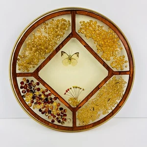 Vintage Lucite Deviled Egg Plate Resin Tray Butterfly Seeds Trivet - Picture 1 of 5