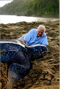 Original Autogramm David Attenborough (*1926) /// Autograph signiert sign 322984 - Picture 1 of 2
