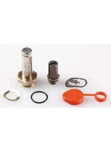 Asco 304354 Red-hat Valve Rebuild Kit - Picture 1 of 12