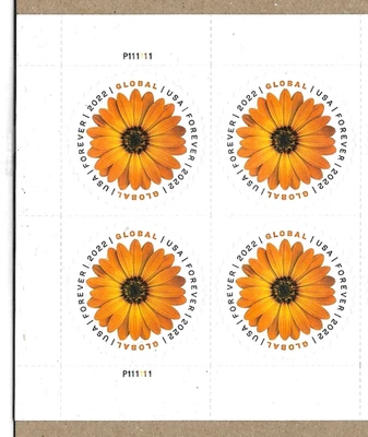 AFRICAN DAISY FLOWERING NATURE US #5680  GLOBAL RATE FOREVER STAMP PLATE BLOCK - Image 1 of 2