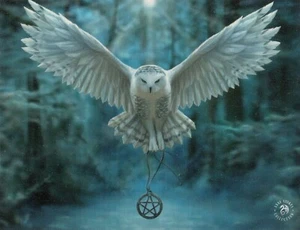 Anne Stokes Canvas Print Awaken Your Magic Snowy Owl Magic 10x7.5” 19x29cm DRUID - Picture 1 of 3