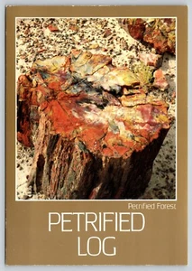 Postal tronco petrificado bosque petrificado parque nacional norte de Arizona fósiles - Imagen 1 de 2