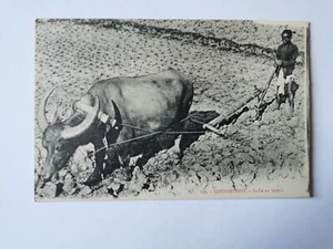 CPA COCHINCHINE - Buffle au Labour - Imagen 1 de 2