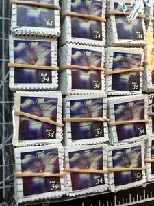 Großpackung: 4.300 gebrauchte Briefmarken "Lilien" (Scott #3487) - perfekt zum Basteln! - Bild 1 von 3