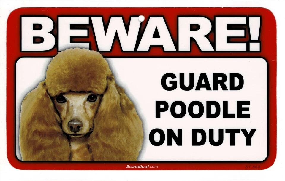 CUIDADO CON EL LETRERO LAMINADO RECTANGULAR PERRO/MASCOTA CANICHE JUGUETE. ENVÍO COMBINADO. Foto 1 de 1