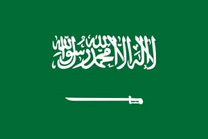 Lot of 10 Saudi Arabia Flag Face Stickers 1017 - 1.5" x 2.5" - Picture 1 of 1