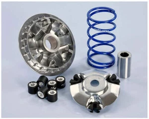 Variatore Polini Maxi Hi-Speed per Yamaha XMAX 125 (dal 2021) - Imagen 1 de 1