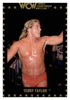 Terry Taylor 1991 Championship Marketing WCW Card #33 - Image 1 of 2