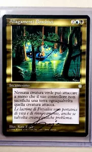 Magic the Gathering Ice Age Artist Proof Allagamenti Boschivi Flooded Woodlands - Picture 1 of 3