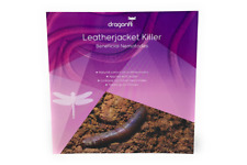 Dragonfli Leatherjacket Killer Nematodes (20m2) - Kill Leatherjacket Lawn Grubs 