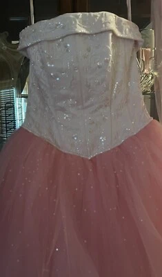 Michaelangelo Dyed Pink Strapless Tulle Wedding Dress Ball Gown Gloves Veil 10 - Image 1 of 4