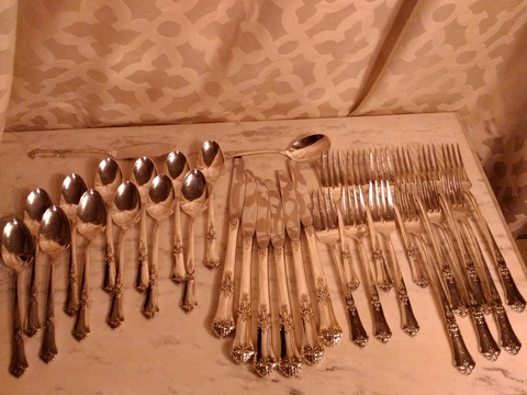 State House "Stately" Sterling Silver 32 Piece Flatware Set, Floral Pattern Case Cover