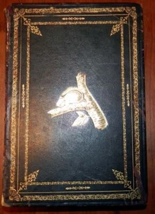 1849 J. J. Audubon Quadrupeds of North America.  Hand Colored Plates. 1stEd - Picture 1 of 12
