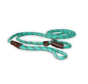 Good2Go Rope Adjustable Looped Dog Collar & Leash Training Design Teal 6 ft.