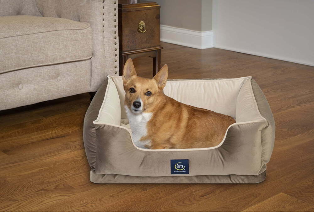 Serta Ortho Cuddler Pet Dog Bed, Large, 34"x24", Brown